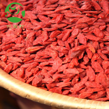 Polvo de baya de goji orgánico extracto de baya de goji de fruta seca mayorista exportar Turquía